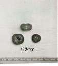Click for 1 image(s) for this accession. FRUIT
